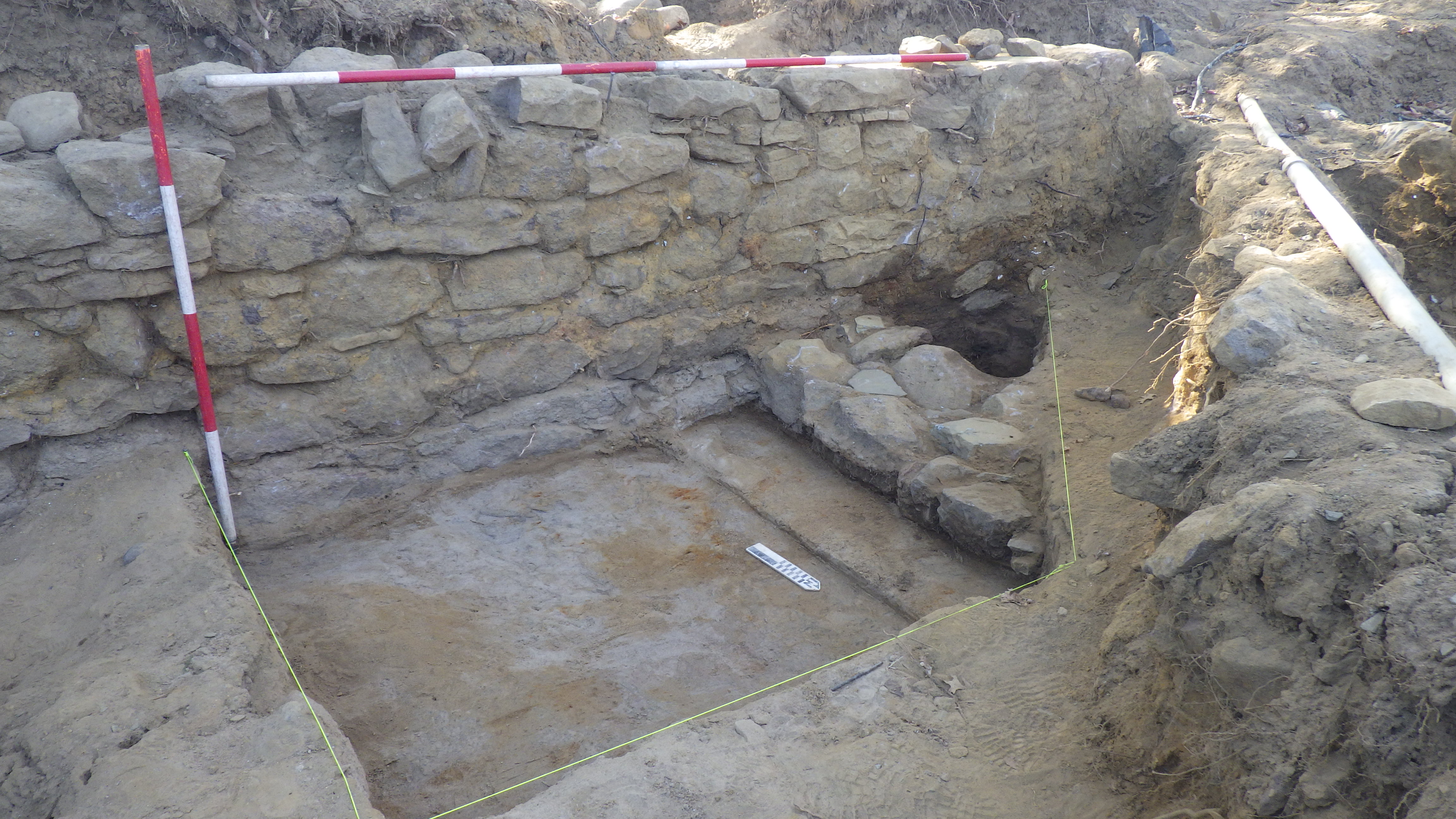 Post 6. Basement Revelations 