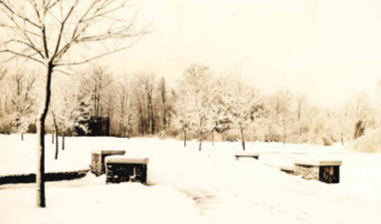 Cedar Hill Well Field in Winter 1937